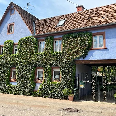 Schoenbachhof Silz  Kültér fotó